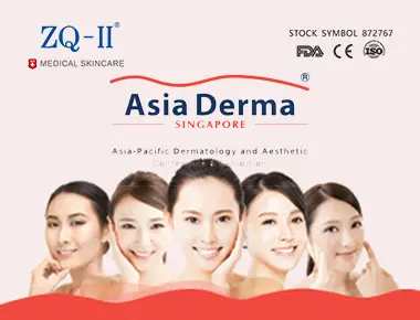 Fiera di Singapore 12.5-7